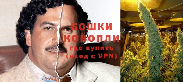 винт Абаза