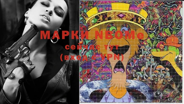 винт Абаза