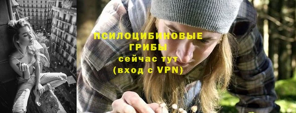 винт Абаза