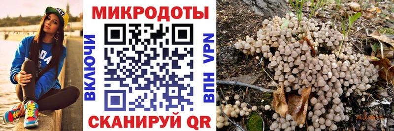 Псилоцибиновые грибы прущие грибы Тайга