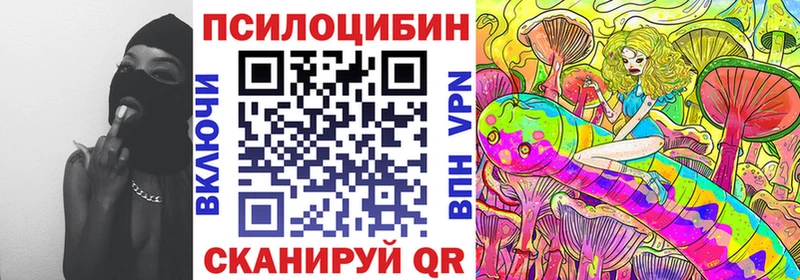 Галлюциногенные грибы GOLDEN TEACHER  дарнет шоп  Тайга 