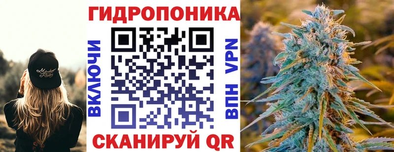 Бошки Шишки ГИДРОПОН  Тайга 